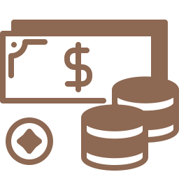 cash icon