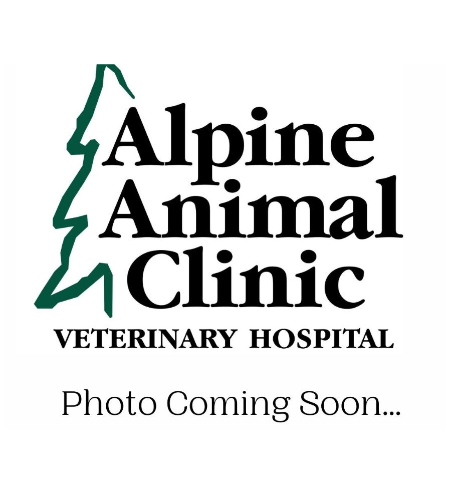 Veterinarian In Helena, MT 59601 | Alpine Animal Clinic