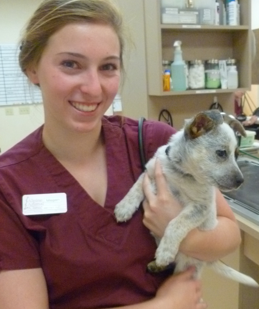 a vet holding a dog in her arms