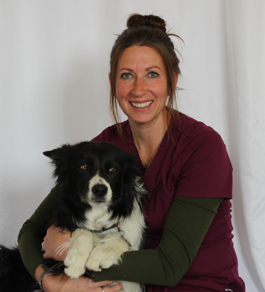 Veterinarian In Helena, MT 59601 | Alpine Animal Clinic