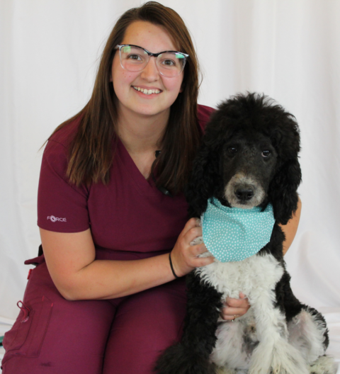 Veterinarian In Helena, MT 59601 | Alpine Animal Clinic