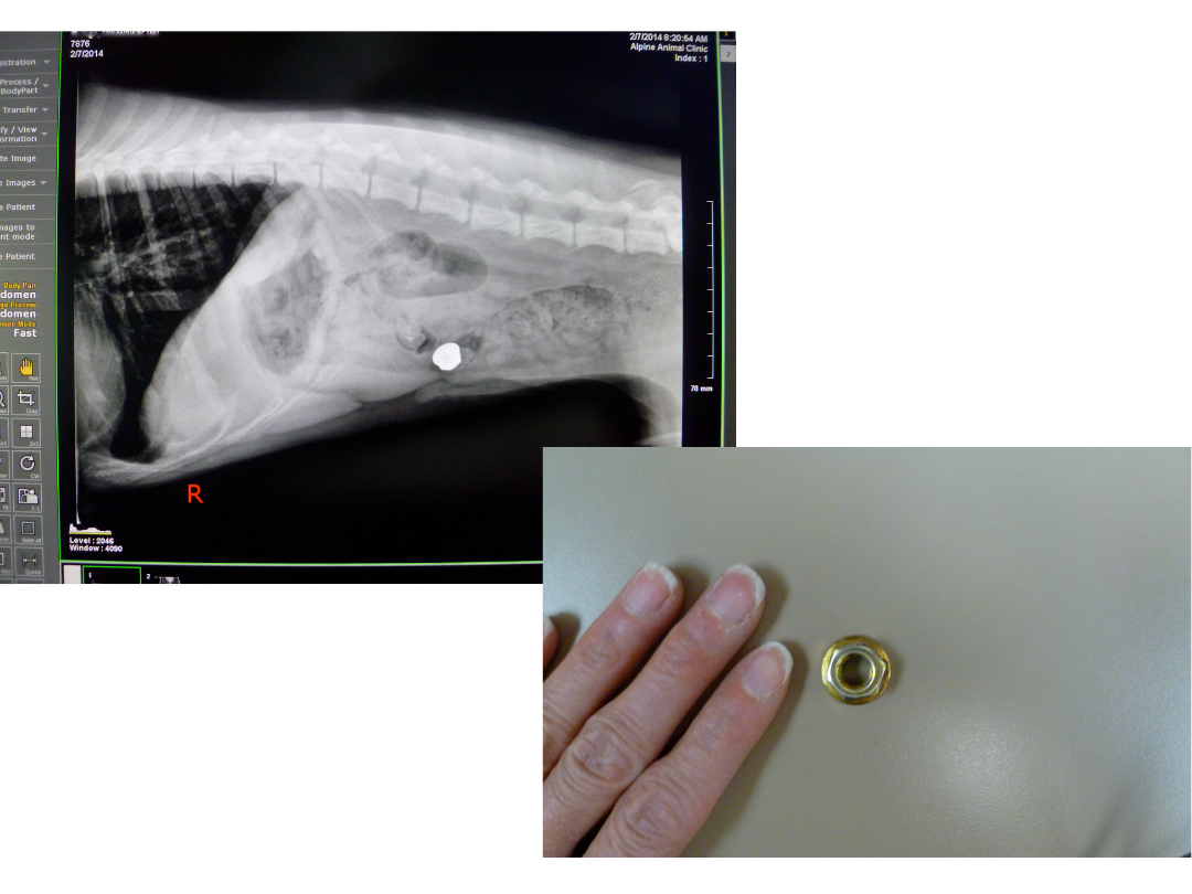 X-Ray for foreign object