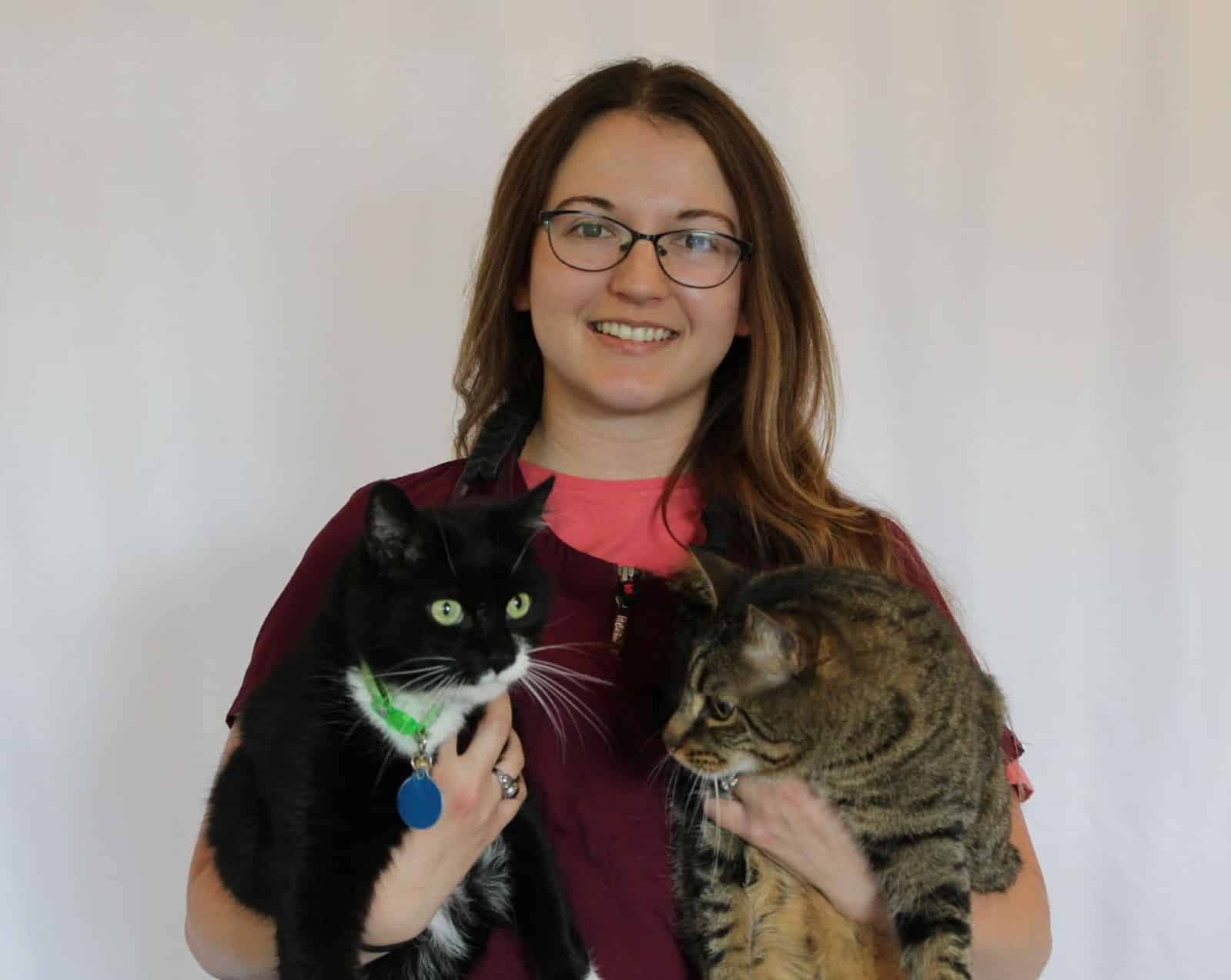 vet taking care of a dog